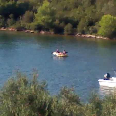 Проживание в семье Topolovec